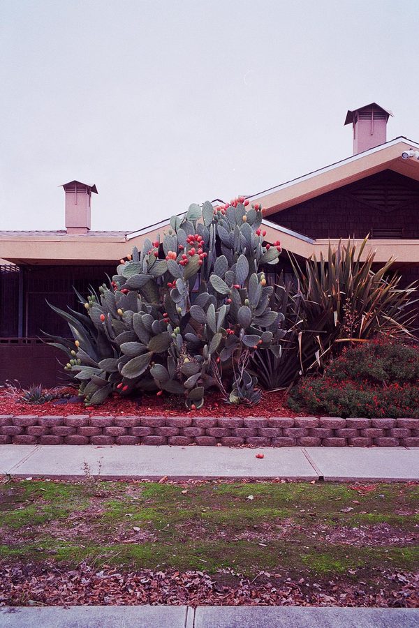 Photo 36