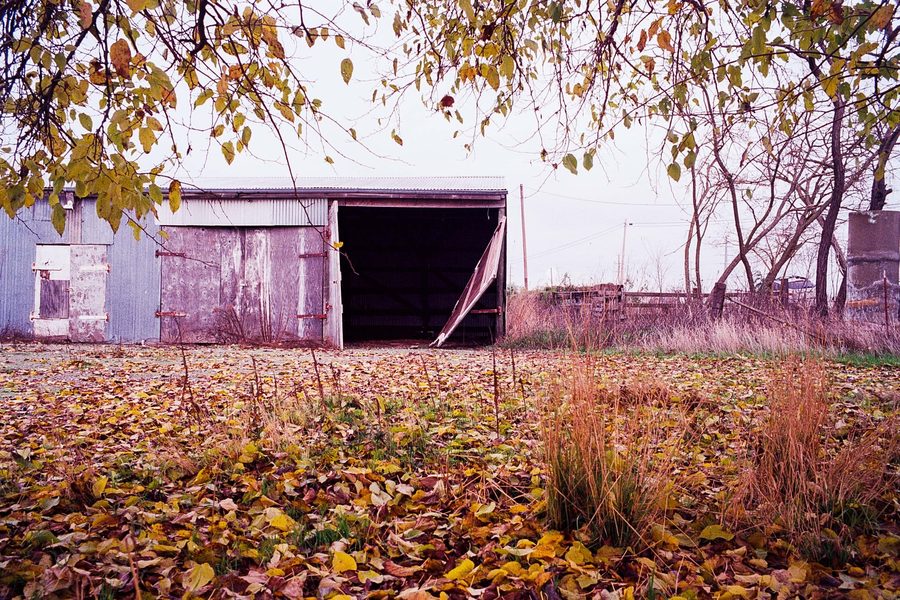 Photo 20