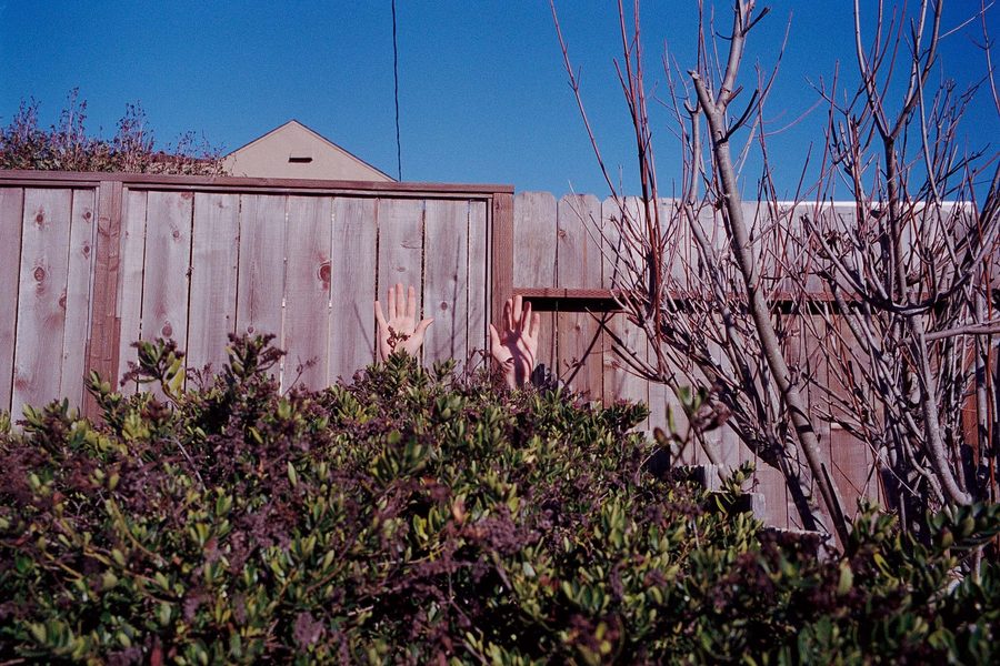 Photo 35